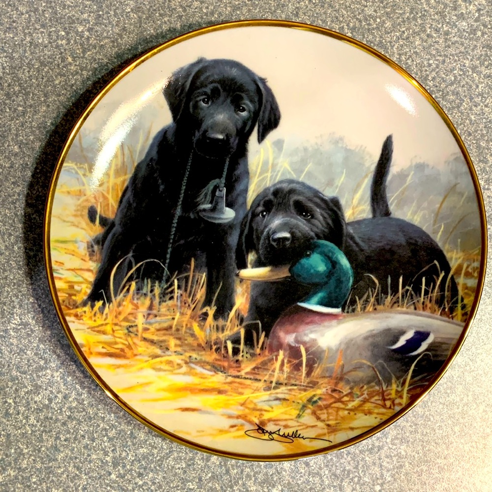 Limited Edition Beginner’s Luck Decorative Plate